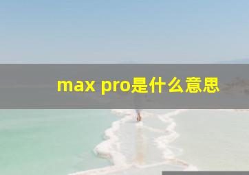 max pro是什么意思